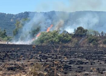 Priolo Gargallo, in fiamme ieri varie parti del territorio comunale