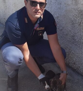 Siracusa. La Polizia di Stato salva due cagnolini