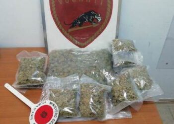 Siracusa. Contrasto allo spaccio di droga, la Polizia sequestra ingente quantitativo di stupefacente e arresta lo spacciatore