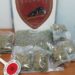 Siracusa. Contrasto allo spaccio di droga, la Polizia sequestra ingente quantitativo di stupefacente e arresta lo spacciatore