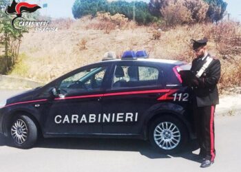 Francofonte. Maltrattamento e abbandono di animali, denunciato 25enne