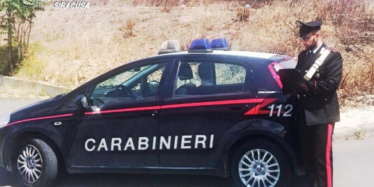 Francofonte. Maltrattamento e abbandono di animali, denunciato 25enne