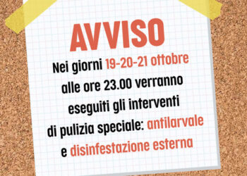 Priolo Gargallo. Dal 19 al 21 ottobre interventi di disinfestazione anti-larvale e derattizzazione