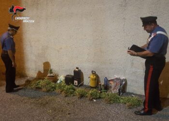 Siracusa. Coltivazione e detenzione illecita di stupefacenti: arrestato un 53enne