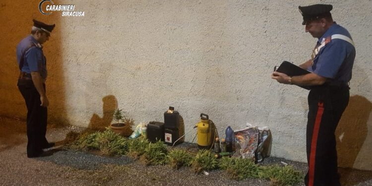 Siracusa. Coltivazione e detenzione illecita di stupefacenti: arrestato un 53enne