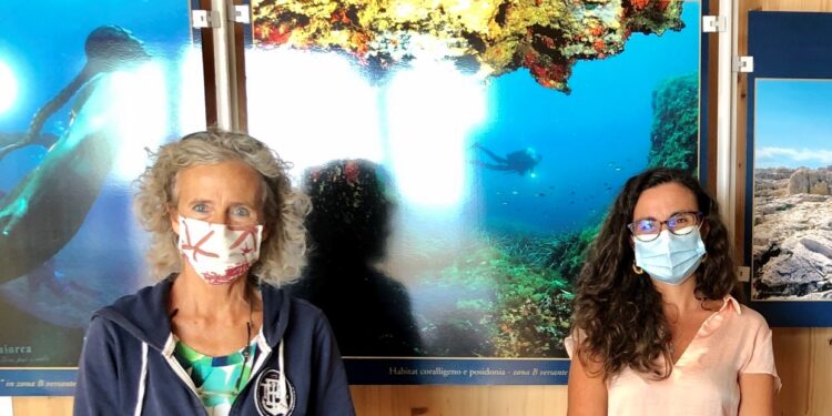 Siracusa. Si insedierà lunedì il nuovo direttore dell’Area Marina Protetta del Plemmirio