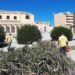 Siracusa. Sistemazione verde piazza Santa Lucia