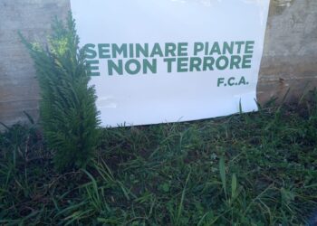 Siracusa. Foresta che avanza celebra l’annuale festa dell’albero