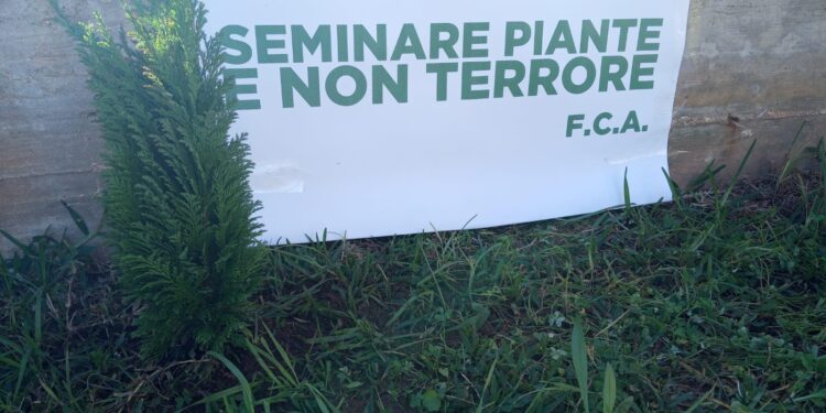 Siracusa. Foresta che avanza celebra l’annuale festa dell’albero