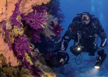 Presentato il calendario 2021 della Guardia Costiera