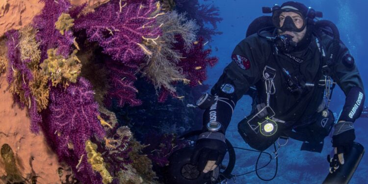 Presentato il calendario 2021 della Guardia Costiera