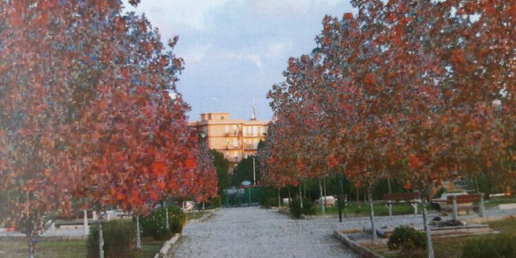 Siracusa. Festa dell’albero, al via a tre progetti del comune dedicati a piazza Santa Lucia, Bosco Minniti e scuola Archia