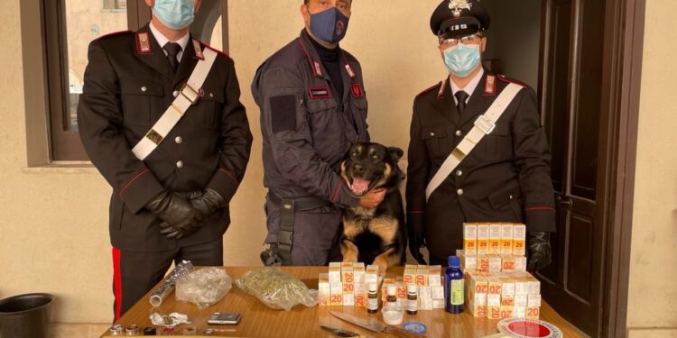 Siracusa. Blitz dei Carabinieri, arrestato un uomo e sequestrati 200 gr. di marijuana