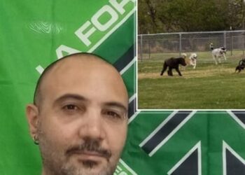 Consulta Civica di Siracusa, De Simone: “pronti a finanziare proposta Dog park con pet therapy di Fabio Camilli”