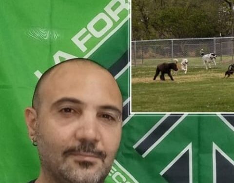 Consulta Civica di Siracusa, De Simone: “pronti a finanziare proposta Dog park con pet therapy di Fabio Camilli”