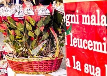 Siracusa. L’AIL torna in piazza con le stelle di Natale da sabato 5 a martedì 8 dicembre