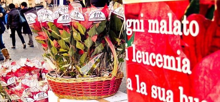 Siracusa. L’AIL torna in piazza con le stelle di Natale da sabato 5 a martedì 8 dicembre