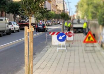 Siracusa. Ripristino alberature su strade cittadine