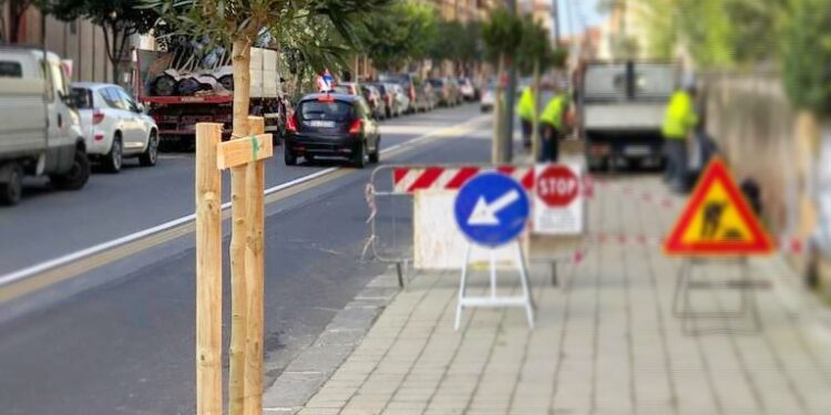 Siracusa. Ripristino alberature su strade cittadine