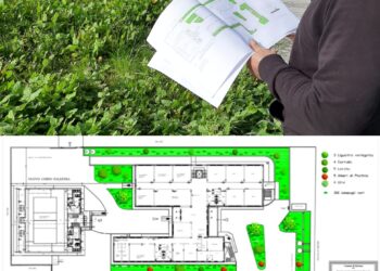 Siracusa. Iniziati i lavori di sistemazione al verde all’istituto Archia