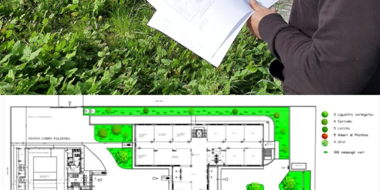 Siracusa. Iniziati i lavori di sistemazione al verde all’istituto Archia