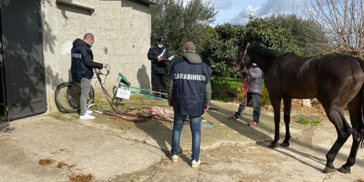 Noto. Pubblicano su Facebook video di una corsa clandestina di cavalli: denunciati