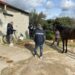 Noto. Pubblicano su Facebook video di una corsa clandestina di cavalli: denunciati