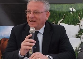 Siracusa. PD, Amenta: “riunire i moderati, così salviamo la Sicilia dalla deriva sovranista della destra italiana”