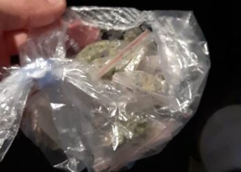 Siracusa. Rafforzato controllo del territorio, la Polizia sequestra della marijuana