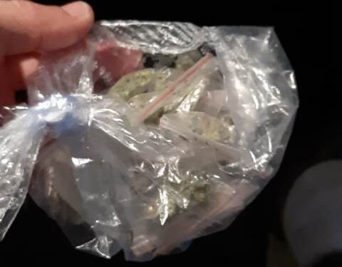 Siracusa. Rafforzato controllo del territorio, la Polizia sequestra della marijuana