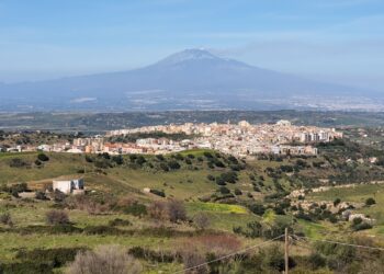 Settori a rischio infiltrazione mafiosa, interdette 4 aziende della filiera agroalimentare