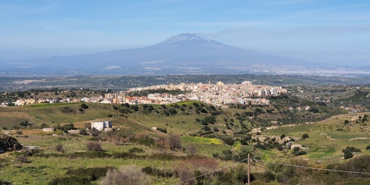 Settori a rischio infiltrazione mafiosa, interdette 4 aziende della filiera agroalimentare