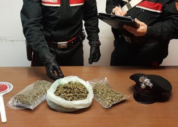 Augusta. Nascondeva la marijuana in garage: arrestato un 37enne