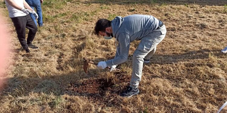 Realizzazione e Piantumazione “Boschetto della Pizzuta”, messe a dimora 200 piantine