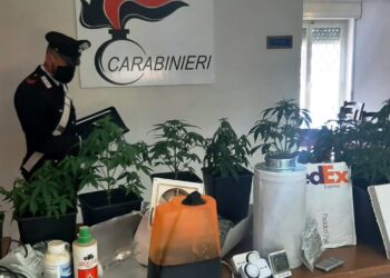 Pachino. Acquista stupefacenti sul web, arrestato un giovane