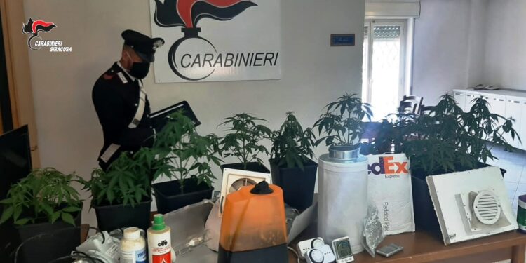 Pachino. Acquista stupefacenti sul web, arrestato un giovane