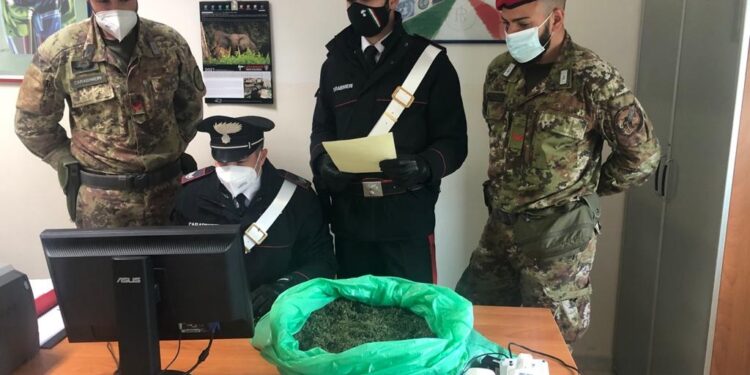 Carlentini. Pregiudicato trovato in possesso di oltre un chilo di marijuana: arrestato