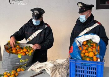 Siracusa. Sorpresi a rubare agrumi, due denunciati