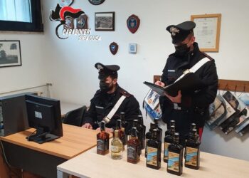 Lentini. Furto in un supermercato, arrestata una donna