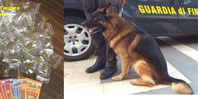 Siracusa. Guardia di Finanza e cani antidroga in azione: arrestato un pusher