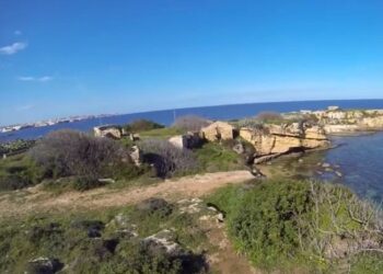 Europa Verde Siracusa interviene su Pillirina e procede a formulare una richiesta di accesso agli atti