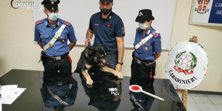 Siracusa. Operazione antidroga “posto fisso”, encomio comando legione ai Carabinieri