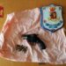 Siracusa. Revolver e cartucce nascoste in un ripostiglio, arrestato 24enne