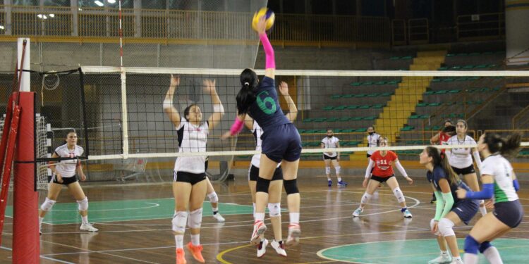 Pallavolo. Under 19, sconfitta a testa per l’Eurialo contro l’Ardens Comiso