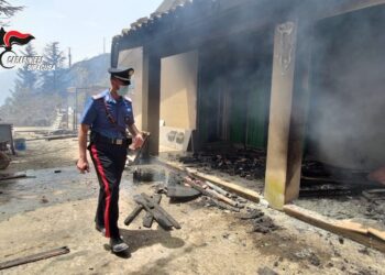 Contrasto agli incendi dolosi nei territori di Lentini e Cassaro, due denunciati