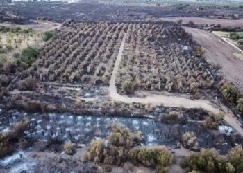 Melilli. Protocollo di legalità per il contrasto  degli incendi dolosi e delle agromafie