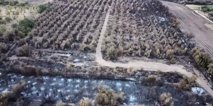 Melilli. Protocollo di legalità per il contrasto  degli incendi dolosi e delle agromafie