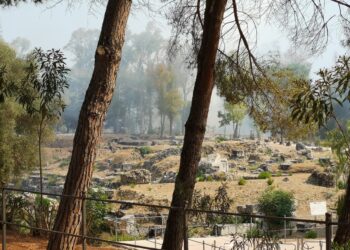 Siracusa. Incendio al parco archeologico della Neapolis