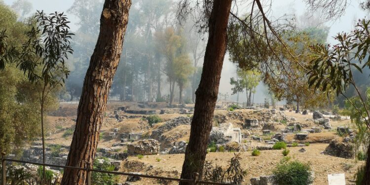 Siracusa. Incendio al parco archeologico della Neapolis