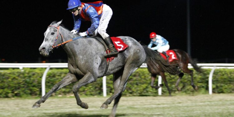 Siracusa, Galoppo. Swift Approval e Siciliano Bello i più temuti